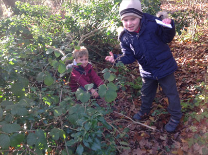 North Leigh C of E Primary School