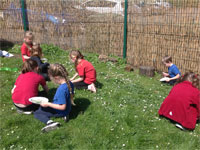 North Leigh C of E Primary School