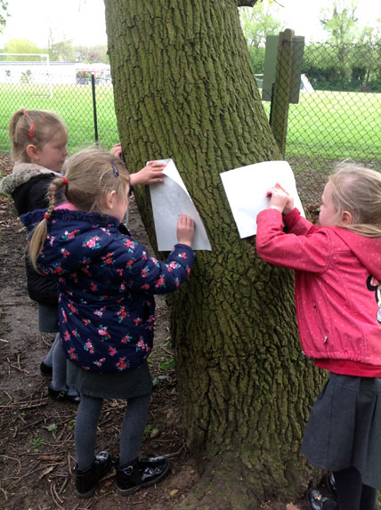 North Leigh C of E Primary School