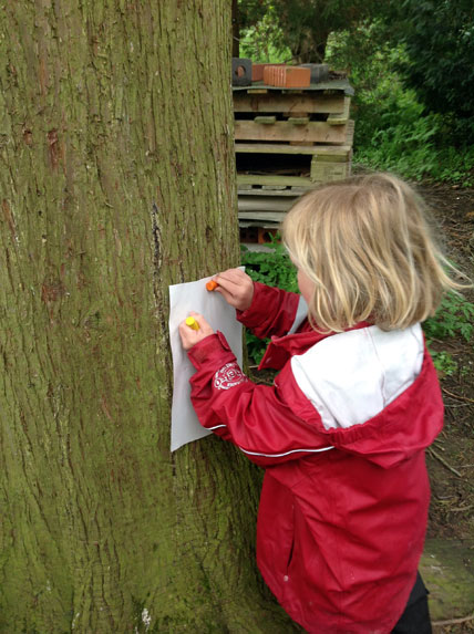 North Leigh C of E Primary School