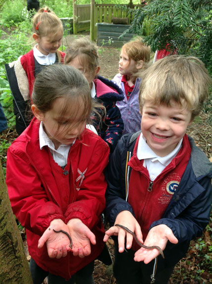 North Leigh C of E Primary School