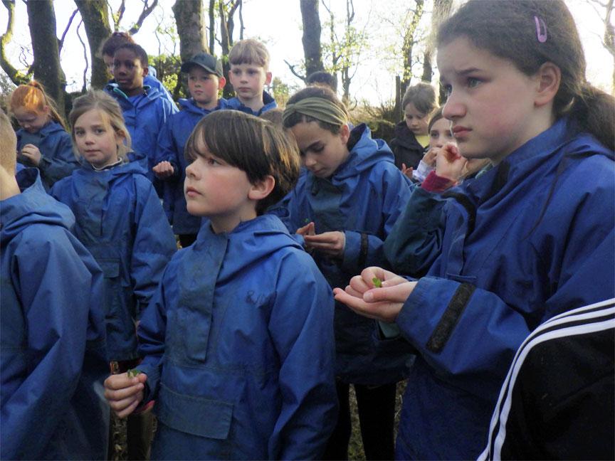 North Leigh C of E Primary School