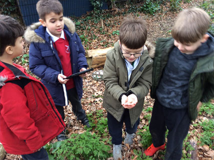 North Leigh C of E Primary School