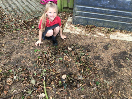 North Leigh C of E Primary School