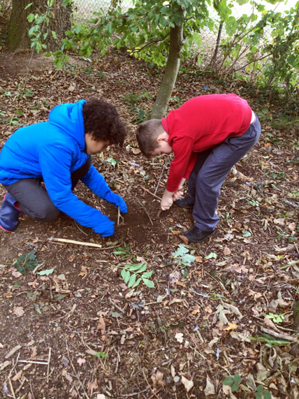 North Leigh C of E Primary School