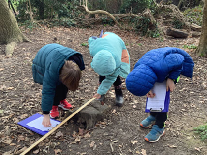 North Leigh C of E Primary School