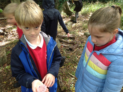 North Leigh C of E Primary School