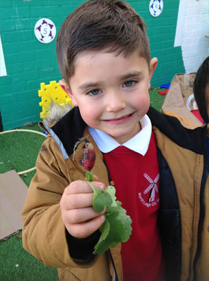 North Leigh C of E Primary School