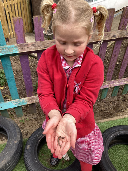 North Leigh C of E Primary School