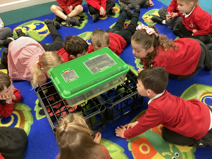 North Leigh C of E Primary School