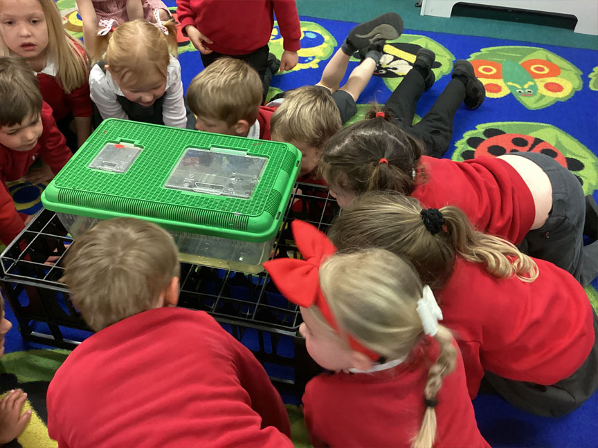 North Leigh C of E Primary School