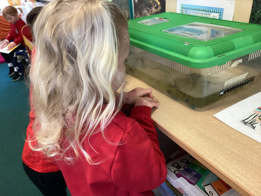 North Leigh C of E Primary School