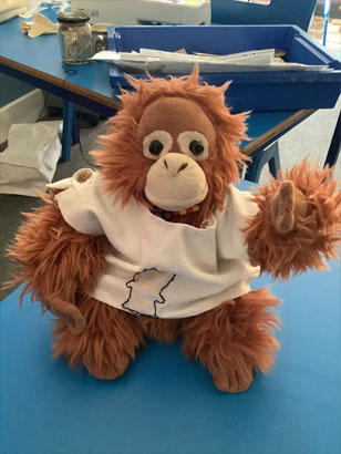 North Leigh C of E Primary School