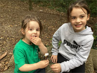 North Leigh C of E Primary School