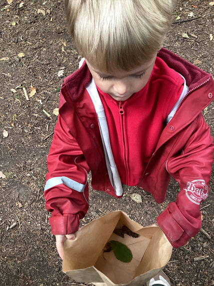 North Leigh C of E Primary School