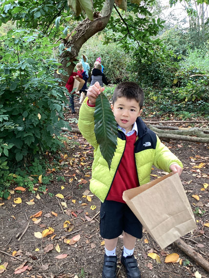 North Leigh C of E Primary School