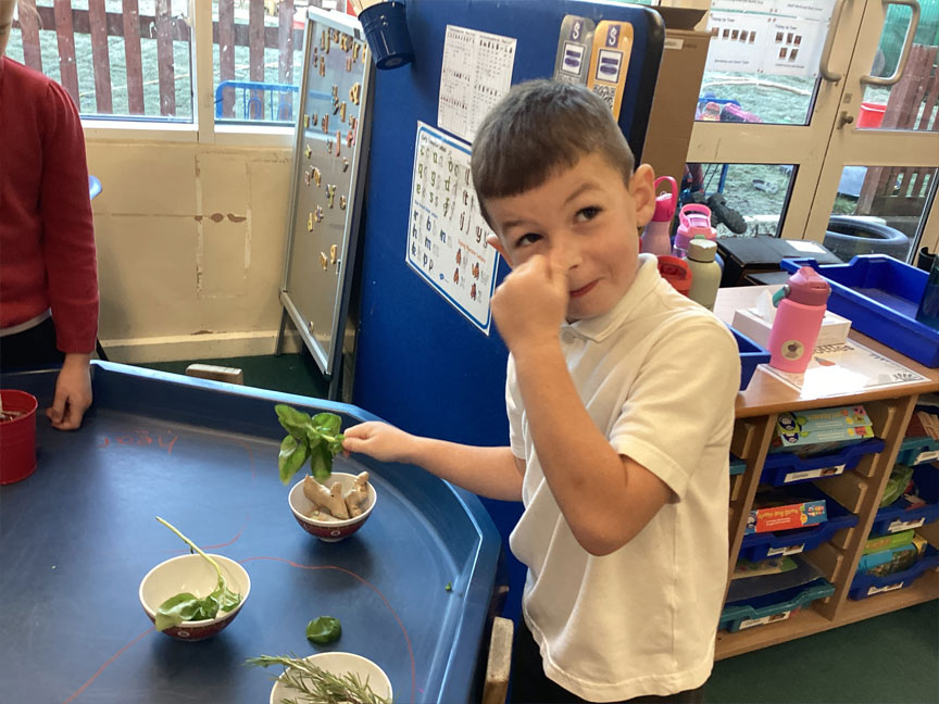 North Leigh C of E Primary School