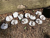 North Leigh C of E Primary School