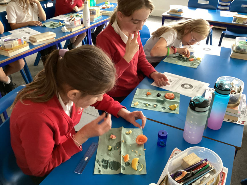 North Leigh C of E Primary School