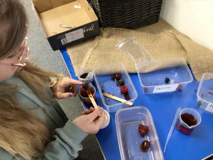 North Leigh C of E Primary School